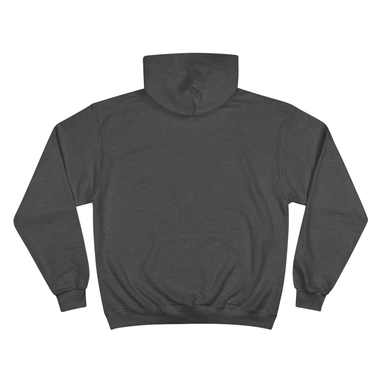 E36 MS Paint Champion Hoodie