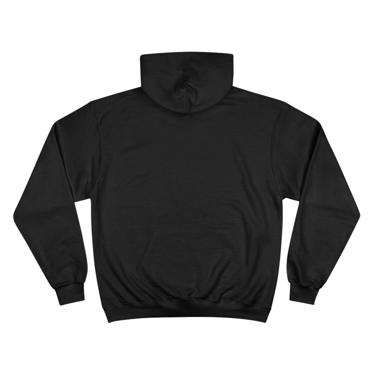 E36 MS Paint Champion Hoodie