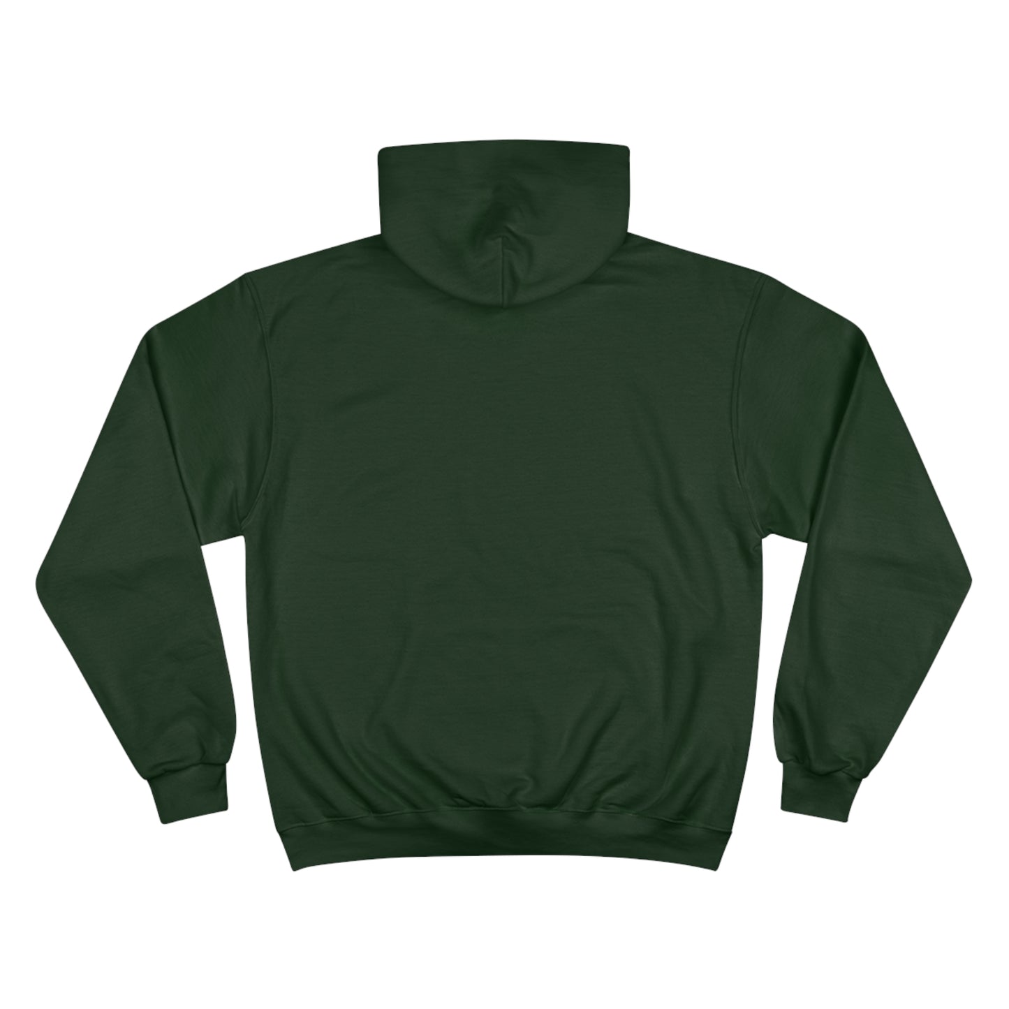 E36 MS Paint Champion Hoodie