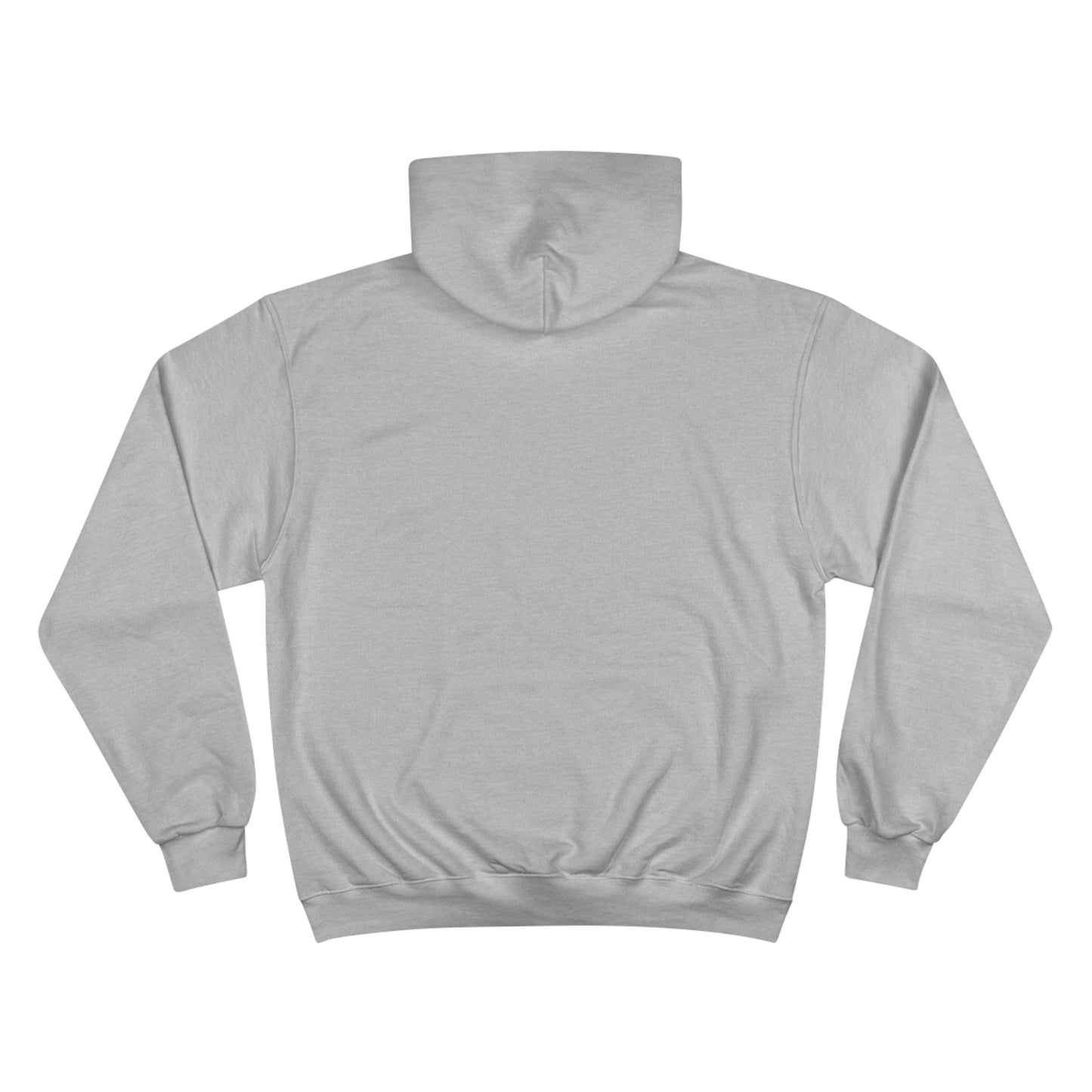 E36 MS Paint Champion Hoodie
